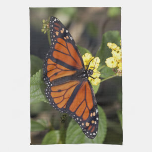 Monarch-Geschirrtuch Geschirrtuch