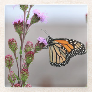 Monarch Glasuntersetzer