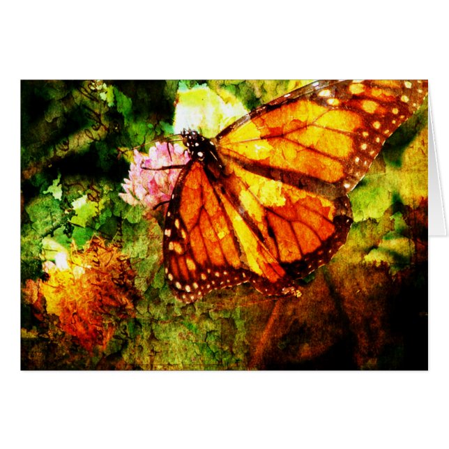Monarch Grunge (Vorderseite (Horizontal))