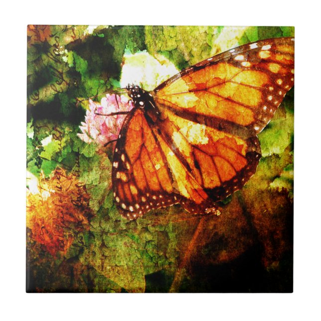 Monarch Grunge Fliese (Vorderseite)