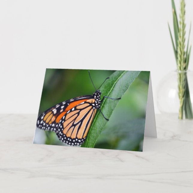 Monarch Grußkarte Karte (Vorderseite)