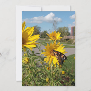 Monarch im Wilkeson Pointe Park Einladung