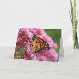 Monarch in der Unkraut-Gruß-Karte Karte