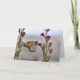 Monarch Karte