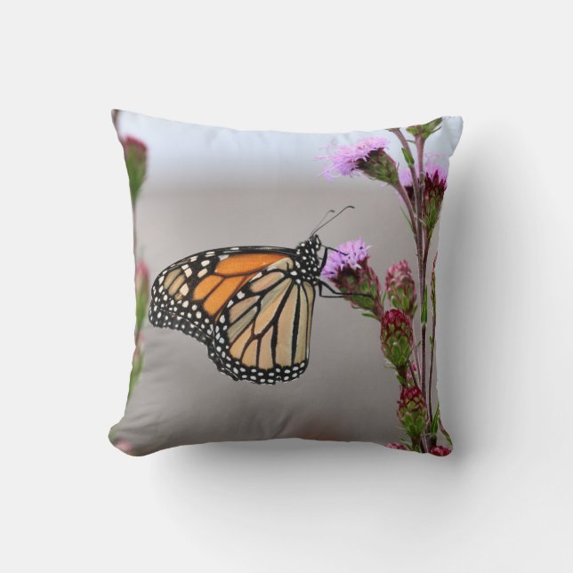 Monarch Kissen (Vorderseite)