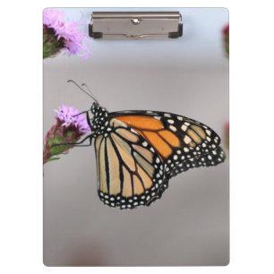 Monarch Klemmbrett