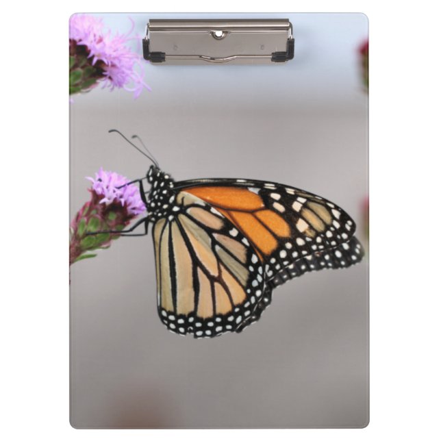 Monarch Klemmbrett (Vorderseite)