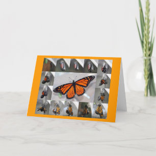 Monarch notecard karte
