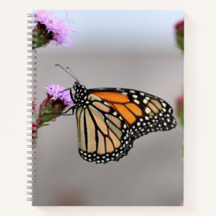 Monarch Notizbuch