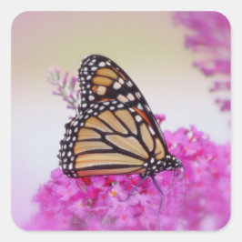 Monarch on Pink - Schmetterling Quadratischer Aufkleber