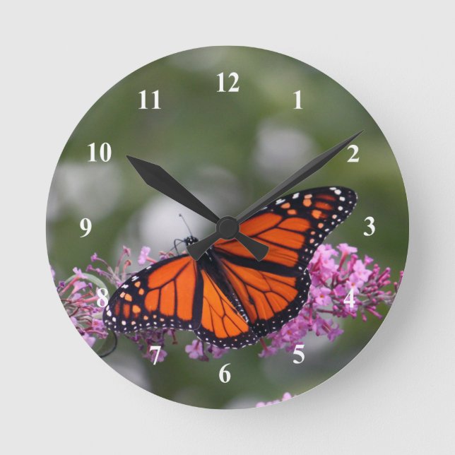 Monarch Orange Butterfly Foto Runde Wanduhr (Vorderseite)