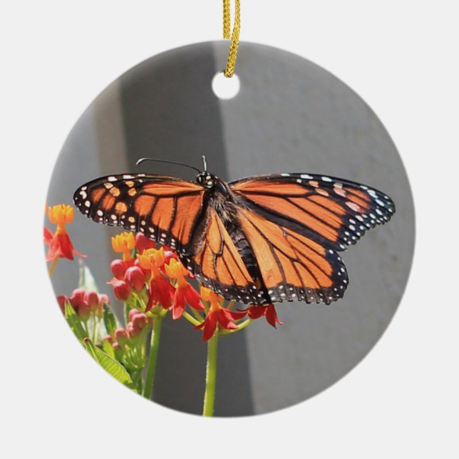 Monarch Ornament (Vorne)