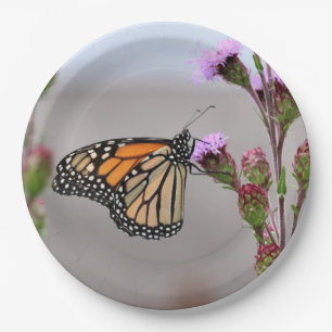 Monarch Pappteller
