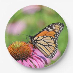 Monarch Pappteller