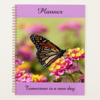Monarch Planer