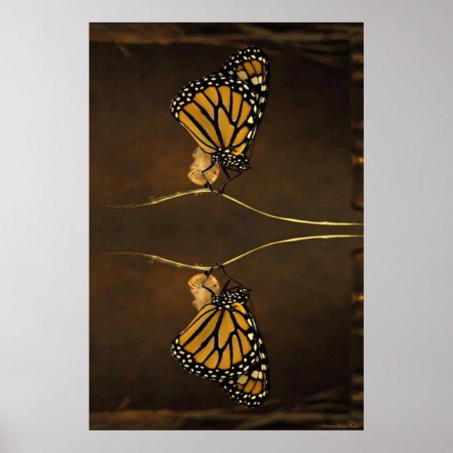 Monarch Print Poster (Vorne)