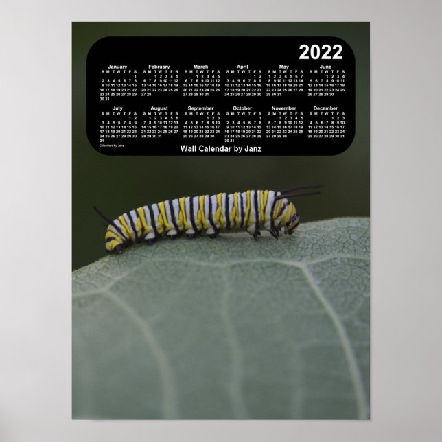 Monarch Raupe Calendar von Janz 2022 Poster (Vorne)