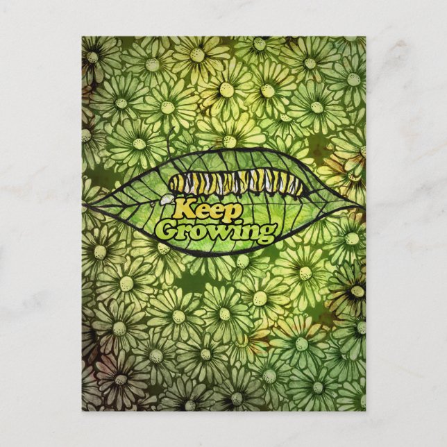 Monarch-Raupe wächst weiter                   Postkarte (Vorderseite)