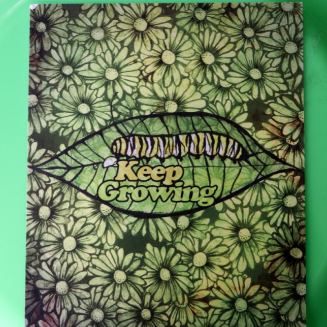 Monarch-Raupe wächst weiter                   Postkarte (Von Creator hochgeladen)