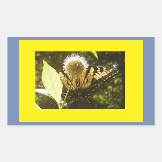 Monarch Rechteckiger Aufkleber (Vorderseite)
