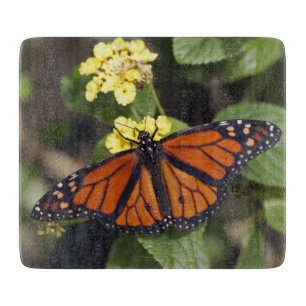Monarch-Rechteckschneidbrett Schneidebrett
