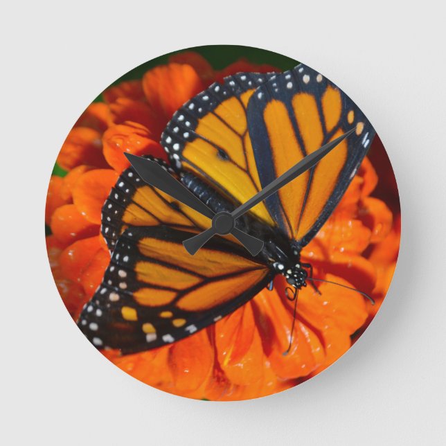 Monarch Runde Wanduhr (Vorderseite)