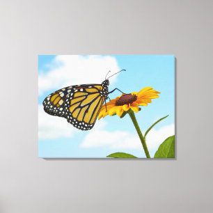 Monarch-Schmetterling auf einer schwarzen mit Leinwanddruck