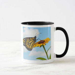 Monarch-Schmetterling auf einer schwarzen mit Tasse