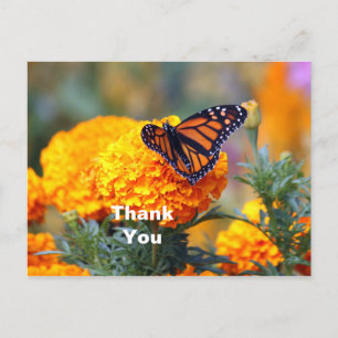 Monarch Schmetterling Ringelblume Foto Danke Postkarte