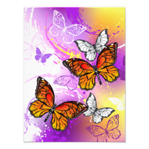 Monarch-Schmetterlinge auf violettem Hintergrund Fotodruck