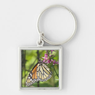 Monarch-Schmetterlings-Schlüsselanhänger Schlüsselanhänger