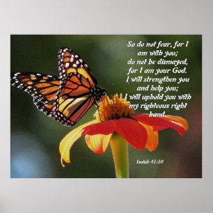 Monarch-Schmetterlings-Sonnenblume-Blumen-Plakat Poster