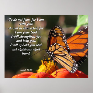 Monarch-Schmetterlings-Sonnenblume-Blumen-Plakat Poster