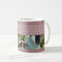 MONARCH-SCHMETTERLINGS-TATSACHEN-TASSE