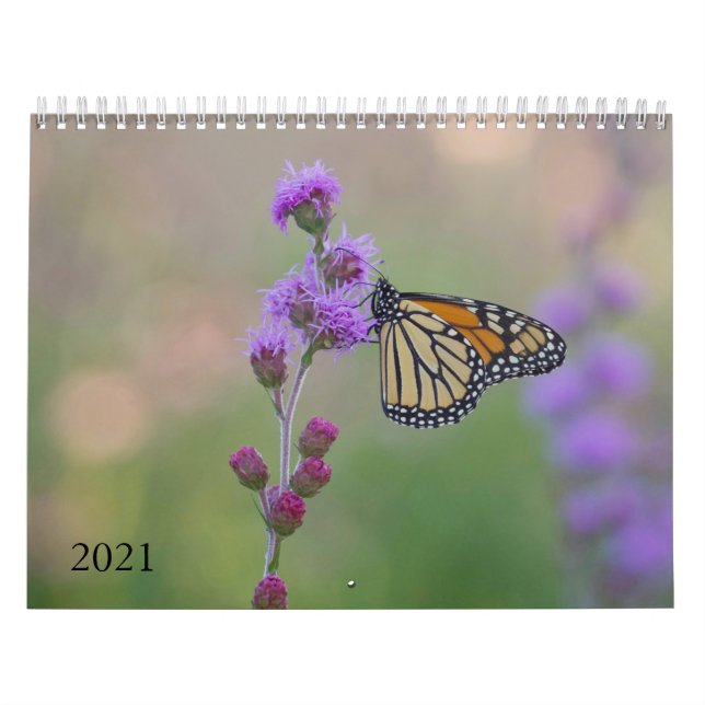 Monarch-Schmetterlingskalender Kalender (Titelbild)