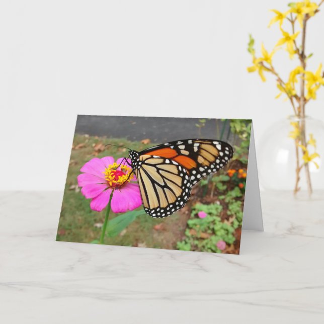 Monarch Sipping Pink Zinnia, Blank Card Karte (Gelbe Blume)