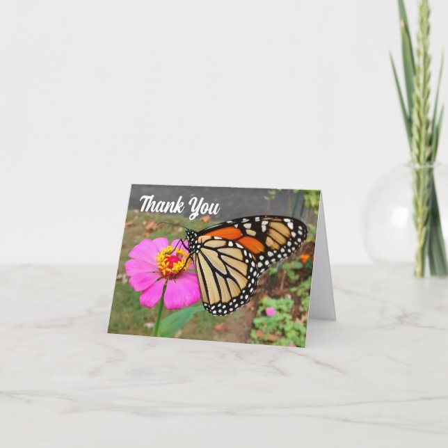 Monarch Sipping Pink Zinnia Dankeschön Karte (Vorderseite)