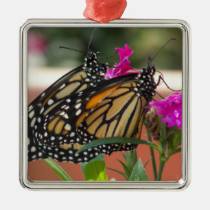 Monarch Twins #1-Premium-Quadrat Ornament Aus Metall