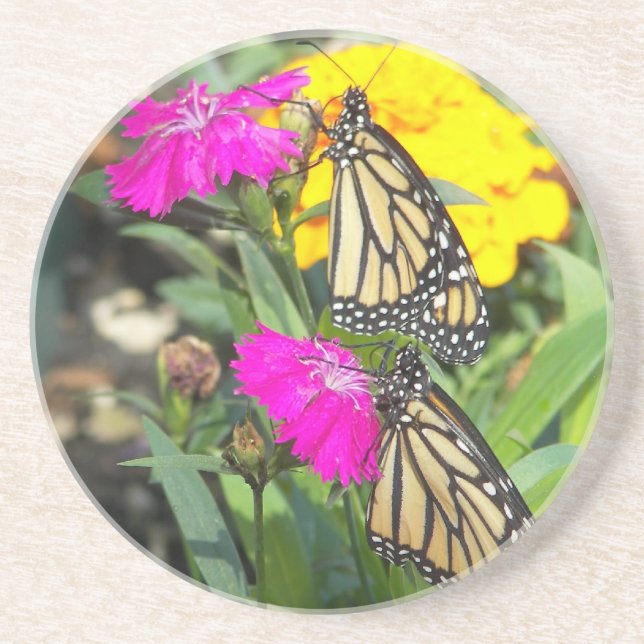 Monarch Twins #2-coaster Untersetzer (Vorne)