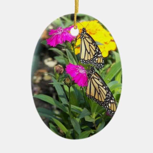 Monarch Twins #2-ovale Ornament (Vorne)