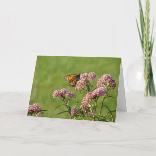 Monarch u. Milkweed, Geburtstag Karte