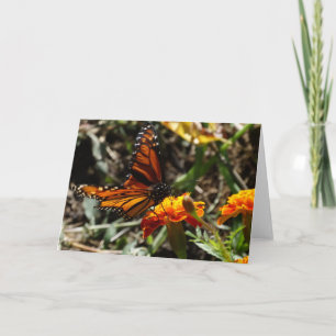 Monarch u. Ringelblume Karte