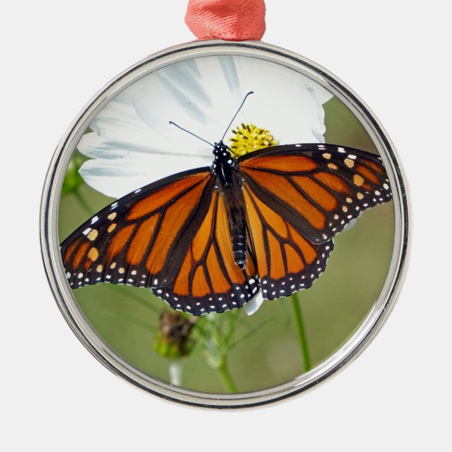 Monarch über den Kosmos Silbernes Ornament (Vorne)