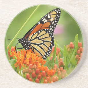 Monarch über Schmetterlingsjäh Getränkeuntersetzer