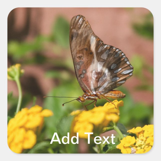 Monarch Wings - Aufkleber für Hunde und Schmetterl (Vorderseite)