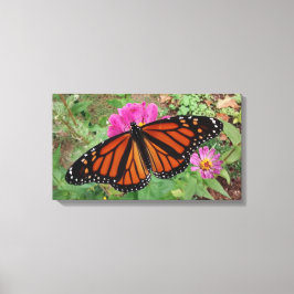 Monarch with Wings Outback on Pink Zinnia Leinwanddruck