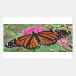 Monarch with Wings Outback on Pink Zinnia Rechteckiger Aufkleber
