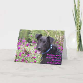 Monarch wünscht Karte