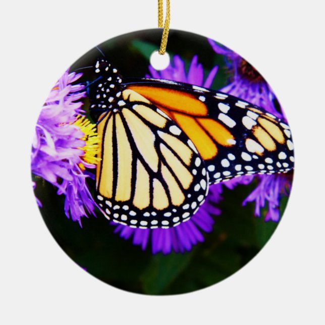 Monarchfalter, Aster-Verzierung Keramikornament (Vorne)