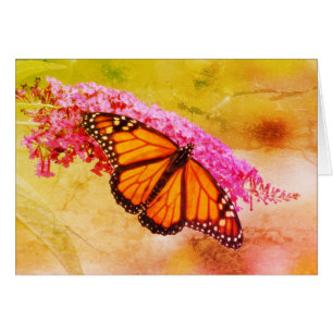 Monarchfalter auf Buddleia